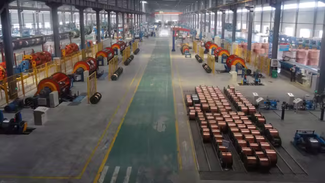 Dây cáp điện Việt Nam